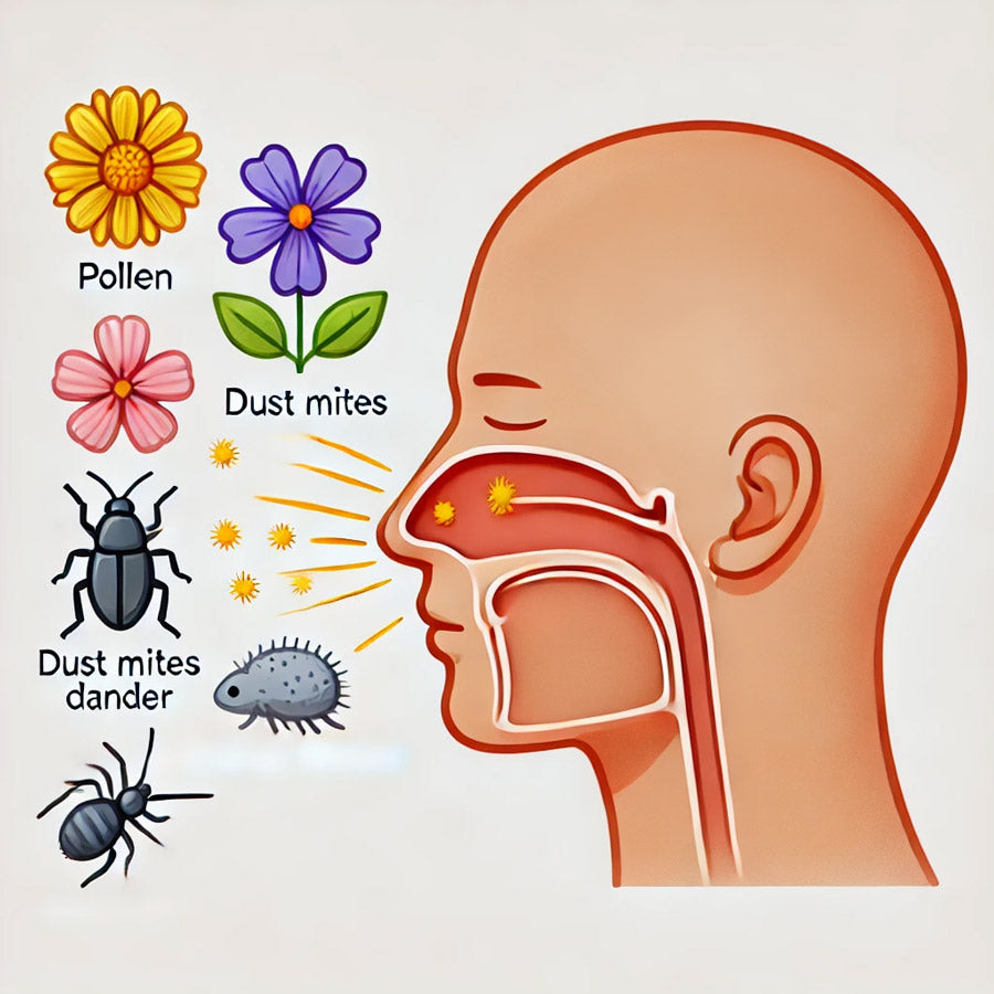 Allergic Rhinitis in Adults