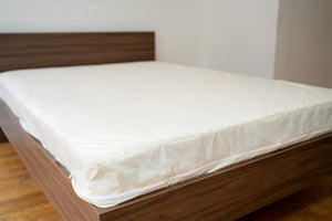 AllerGuard Mattress Protector