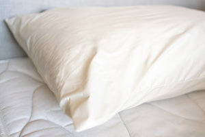 AllerGuard Cushion Protector